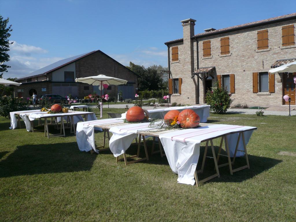 Il Dosso Agriturismo كوديجورو المظهر الخارجي الصورة